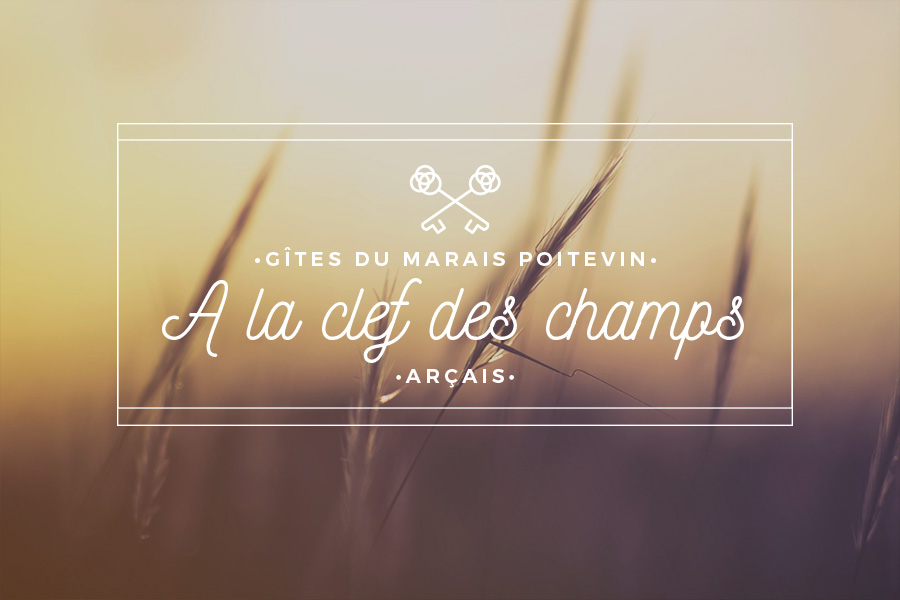 logo gite les clefs des champs Projet : logo gite les clefs des champs.jpg